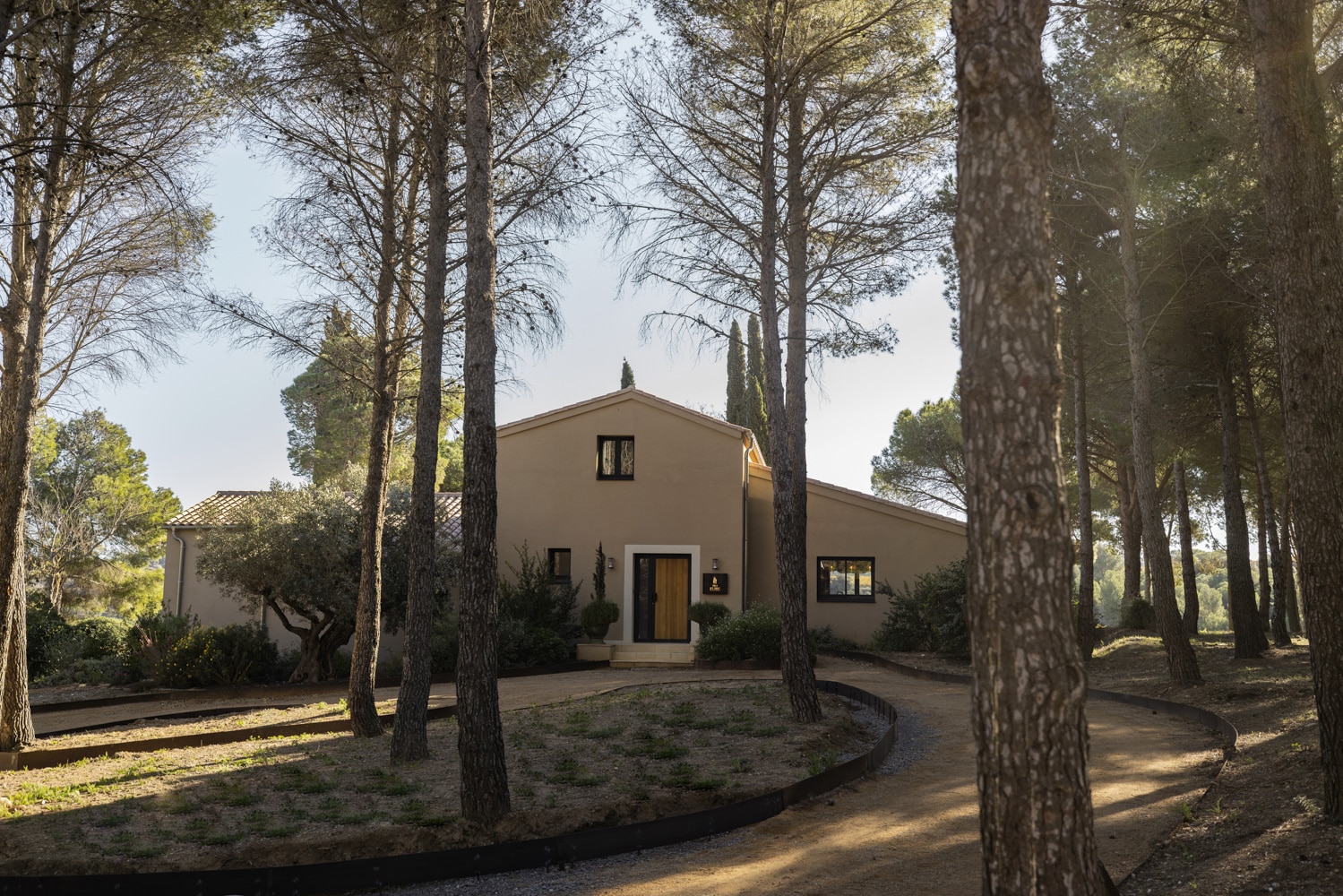 CHATEAU DE LASTOURS Villa Location les pins Extérieur